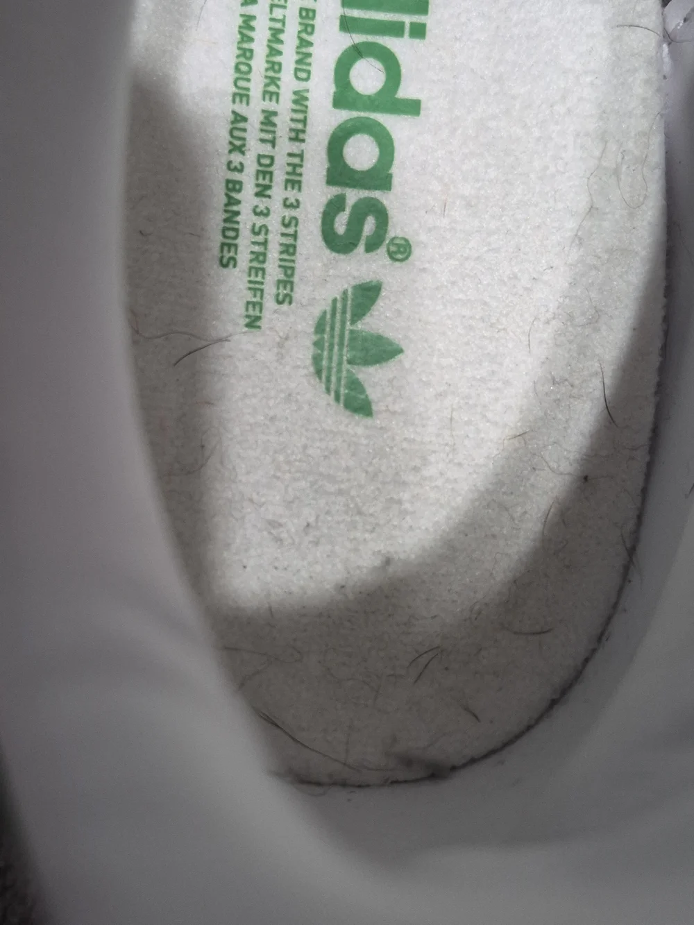 adidas authentic version